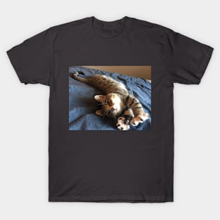 sleepy kitty T-Shirt